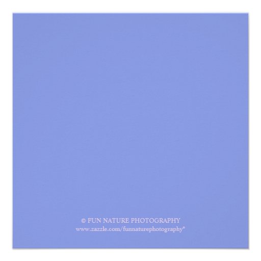 Forget Me Not Flower Photo Wedding Invitations