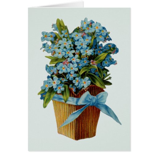 Forget Me Not Flowers Greeting Cards