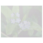 Forget-me-not flowers customized letterhead