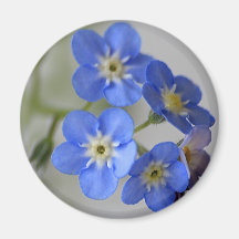 Forget Me Not Fridge Magnets