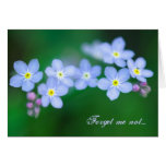 Forget me not... love, valentine's day photo card cards