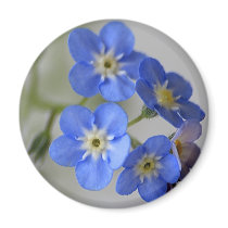 Forget Me Not Fridge Magnets