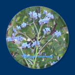 Forget-me-not Magnet