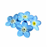 Forget-Me-Not Magnet Photo Sculpture