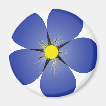 Forget me not magnets