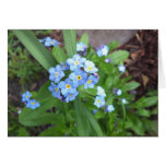 Forget Me Not Note Card