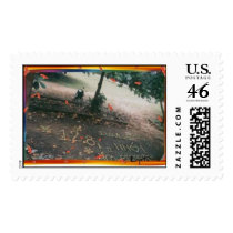 @forget me not ! postage