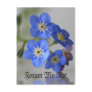 Forget Me Not Post Cards