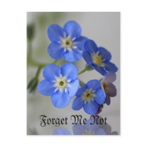 Forget Me Not postcards by Flowerpixels Forget Me Not postcards