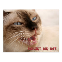 Forget Me Not postcards