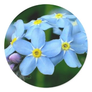 forget -me -not sticker