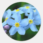 forget -me -not stickers
