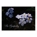 Forget Me Not ~ Sympathy Cards