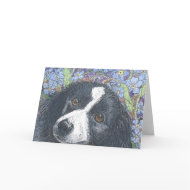 'Forget me not', the Border Collie said. card