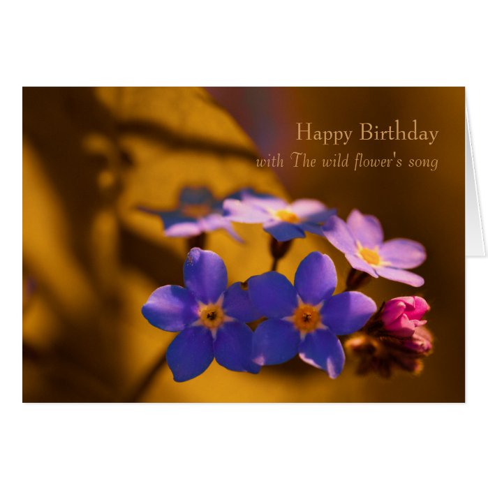 Forget-me-not Wildflower song CC0262 Birthday Card