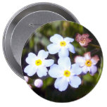 Forget Me Nots 1 Button