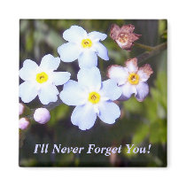 Forget Me Nots 1 Magnet