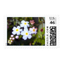 Forget Me Nots 1 Stamp by CreatureCreations Forget Me Nots 1 Stamp