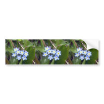 Forget Me Nots 2 Bumper Sticker bumper stickers by CreatureCreations Forget Me Nots 2 Bumper Sticker bumper stickers