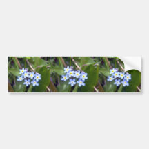 Forget Me Nots 2 Bumper Sticker