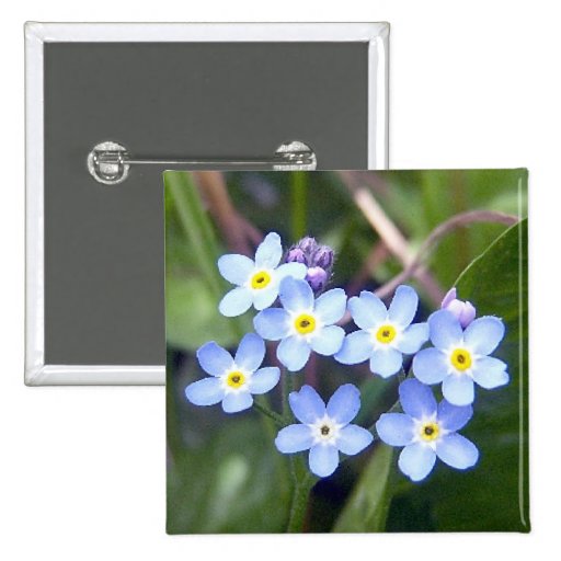 Forget Me Nots 2 Button