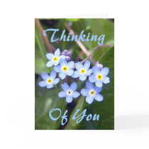 Forget Me Nots 2 Greeting Card
