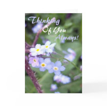 Forget Me Nots 3 Greeting Card