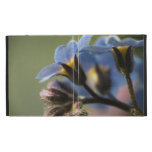 Forget-Me-Nots 4 iPad Case