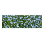 Forget Me Nots Bookmark Business Card