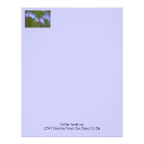 Forget Me Nots letterhead