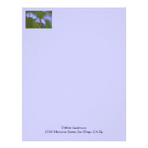 Forget Me Nots Letterhead Template