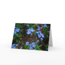 Forget-Me-Nots Notecard
