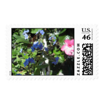 forget-me-nots postage by JOLIE13 forget-me-nots postage