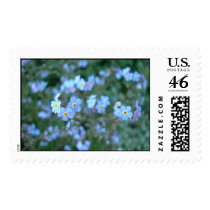 Forget Me Not's stamps by bkang22 Forget Me Not's stamps