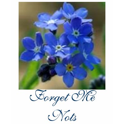 Forget Me Nots T Shirts by renee869hello