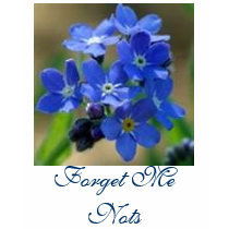 Forget Me Nots t-shirts