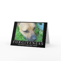 Forgiveness Greeting Cards