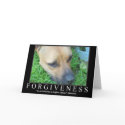 Forgiveness cards