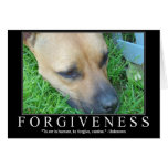 Forgiveness Greeting Cards