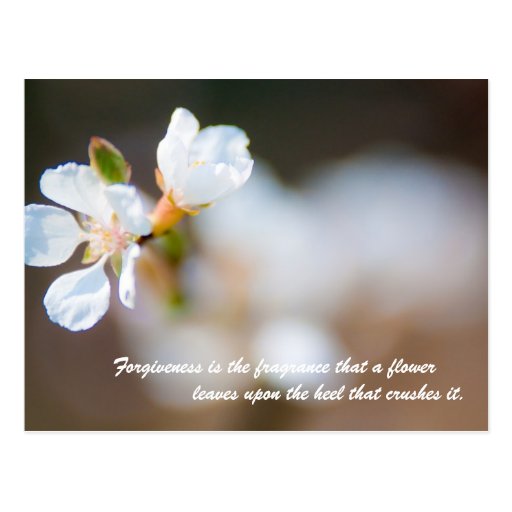 is the fragrance that a flower leaves postcard Zazzle
