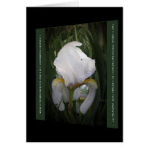 Forgivness Card