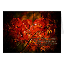 ForGodsolovedtheworldZazzle cards