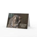 Forgotten Birthday cards