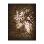 Forgotten Door Photo Postcards