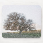 Forgotten Oak Mouse Pad