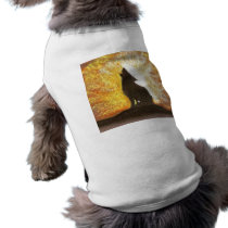 forgotton song pet clothing by dawnmcininch forgotton song pet clothing