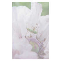 Fork Tailed Bush Katydid Nymph Personalized Stationery