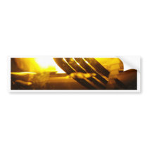 Forked Palm bumper stickers by Debrene Forked Palm bumper stickers