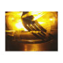 Forked Palm Post Cards