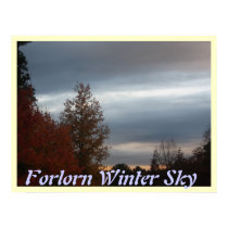 Forlorn Winter Sky posters by Moon2Studio Forlorn Winter Sky posters